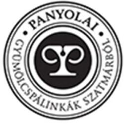 Panyolai Pálinka Elixír Irsai Olivér Szőlő 43% 0.05 l