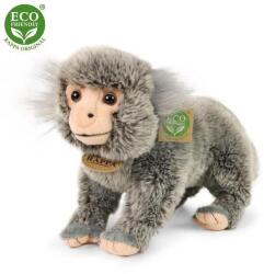 Rappa Plüss majom 25 cm - plüss játékok