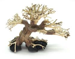 INVITAL Bonsai Driftwood 20 x 15 x 16 cm Nr. 28 (INZ07785)