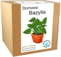 Łatwa Uprawa Termesztő szett Bazsalikom bazsalikom fűszermagok (Bazylia domowa bardzo łatwa u uprawie)