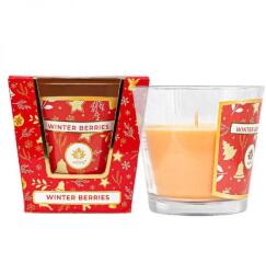 Arôme poharas karácsonyi illatgyertya - Winter Berries - 120 g (IMO-TCO-8595717327158)