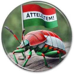  Áttelelt Zászlós Poloska Kitűző (3 féle méretben) (307598)