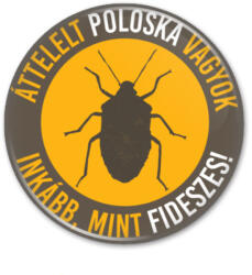  Áttelelt Poloska Hűtőmágnes (958817)