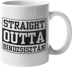  Straight outta Bindzsisztán - Bögre (854963)