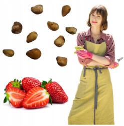 Łatwa Uprawa Epermag Évtermesztésű Nagy Gyümölcsű Eper Palántáknak Cserépbe (sadzonki donica pnąca wisząca truskawka)