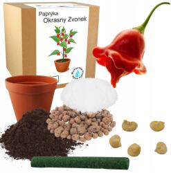 Łatwa Uprawa Szett Díszpaprika Termesztéséhez Zvonek Díszpaprika, Chili Paprika Magok 5 Db (Papryka chili Okrasny zvonek nasiona mix)