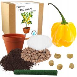Łatwa Uprawa Paprika Termesztő Szett Habanero Chili Mag 5 Db-os Sárga Csípős Otthoni (Sadzonka papryki habnaero nasiona piri)