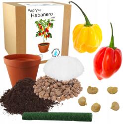 Łatwa Uprawa Habanero Chili Paprika Termesztő Készlet Magok MIX Piros, Sárga, Erős (Papryka chili habanero słodka nasiona)