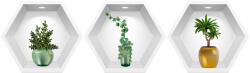 Eosette Sticker Plante Decorative 3D - Nise Hexagon in Perete