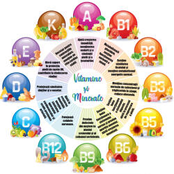 Eosette Sticker scoli, Vitamine - 125x125 cm