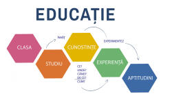 Eosette Autocolant scoli - Educatie Hexagoane - 216x125 cm