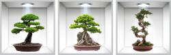 Eosette Sticker Bonsai 3D - Nise Perete - eosette - 70,00 RON