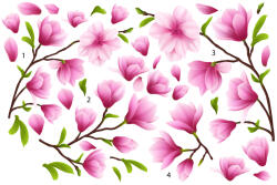 Eosette Sticker Flori de Magnolie - 60x90 cm
