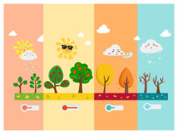 Eosette Sticker educativ - Anotimpuri - eosette - 35,00 RON