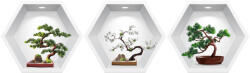 Eosette Sticker Bonsai 3D - Nise Hexagon in Perete