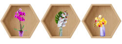 Eosette Sticker Orhidee 3D - Nise Hexagon Lemn