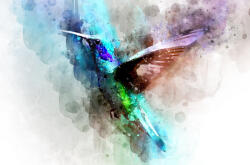 Eosette Fototapet Abstract Colibri - eosette - 960,00 RON