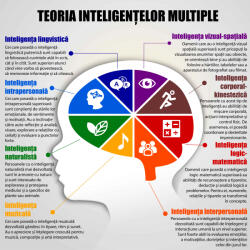 Eosette Sticker Teoria Inteligentelor Multiple - 125x125 cm