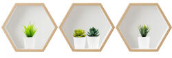 Eosette Sticker Suculente 3D - Nise Hexagon Lemn