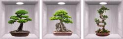 Eosette Sticker Bonsai 3D - Nise Lemn - eosette - 70,00 RON