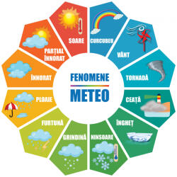 Eosette Autocolant Fenomene Meteo Floare - 125x125 cm