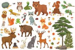 Eosette Sticker pentru Copii - Animalele Padurii