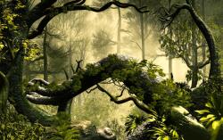 Eosette Fototapet Encahnted Forest - eosette - 240,00 RON