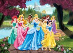 Eosette Fototapet Printese Disney