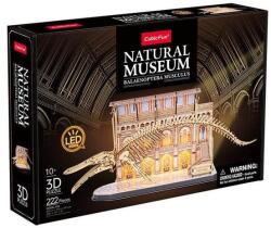 CubicFun 22 db-os 3D puzzle LED világítással - Múzeum sorozat - Kék bálna (L545) (L545)