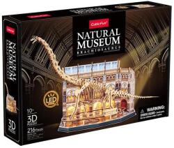 CubicFun 216 db-os 3D puzzle LED világítással - Múzeum sorozat - Brachioszaurusz (L544) (L544)