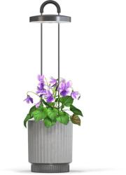 Click & Grow Smart Garden 1 HydroVase, szürke (CGHVGEU)