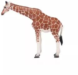 Mojo Mojo: Girafă femelă - figurină pictată manual (381033) Figurina