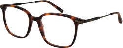 Ted Baker Ochelari de Vedere TB 8295 407 54 (TB 8295 407 54) Rama ochelari