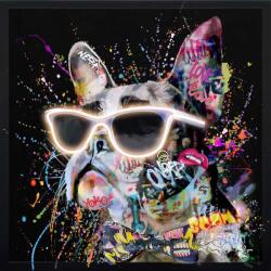 Art Galéria Szőrös vagány - kézzel átfestett olajfestmény LED világítással