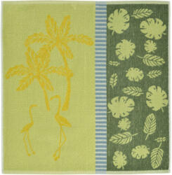 Sander Palmtree kéztörlő, zöld 50x50 cm (111294-15)