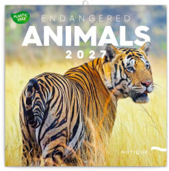 Realsystem Falinaptár képes lemeznaptár 300x300mm, Animals of the Forest Realsystem 2024 (6097-EA)