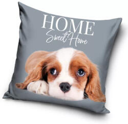  Kutyás Spaniel Grey párnahuzat 40x40 cm (CBX214053PNL) - oliviashop