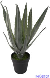  Cserepes aloe vera 32cm