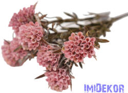  Tölcsérgumós 7 ágú bokor 34cm - Mályva