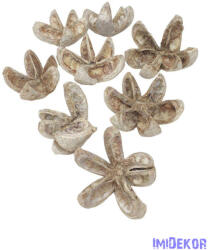  Wild Orange 8db/csomag - Hamvas