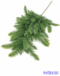  Mű nordmann fenyő 65 cm - Zöld