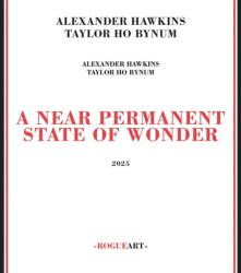 Hawkins, Alexander A Near Permanent State