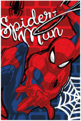  Pókember polár takaró - 100 x 150 cm - 1 (evi_SPM1418-B)