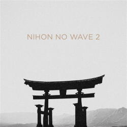 Various Nihon No Wave 2