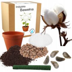 Łatwa Uprawa Ültető Készlet Indiai Pamut Magok 2 Db Dísznövény Otthonra (Roślinka bawełny bardzo łatwa w uprawie)