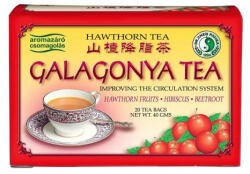 Dr. Chen Patika Dr. chen galagonya tea 20x2g 40 g