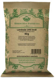 Herbária lándzsás útifűlevél tea 40 g - vitalora