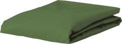 Essenza Cearșaf cu elastic Minte 200 x 200 cm verde (401244-103-114)