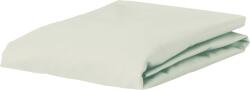 Essenza Cearșaf cu elastic Minte 200 x 200 cm crem (401244-103-104)