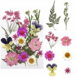  Természetes Szárított Préselt Virágok Keverék Szárított Gyanta Levelek Diy (Suszony kwiat C)